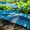 Nursery Grass Control System
