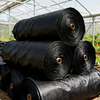 Waterproof Greenhouse Woven Thermal Insulation Curtain