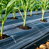 Nursery Grass Control System